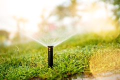 Spring Irrigation System Checkup for Florida