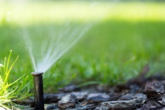 Spring Irrigation Tips for Your Florida Lawn