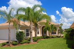 Tips to Keep Grass Green in a Florida Summer