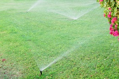 Winter Irrigation Tips for Florida Homeowners