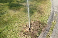 Sprinkler Replacement